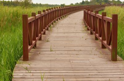 Wood Railing Installation and Repair